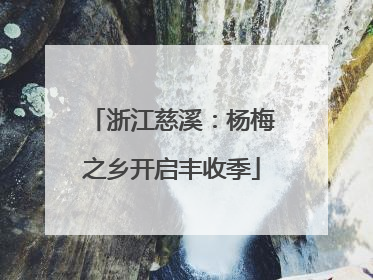 浙江慈溪：杨梅之乡开启丰收季
